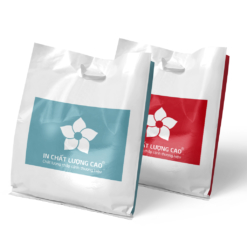 In túi nilon chất lượng