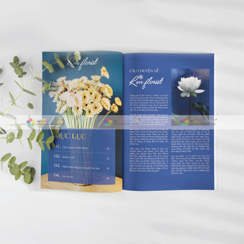 Cập Nhật Tin Tức Mới Nhất Về Catalogue 2025