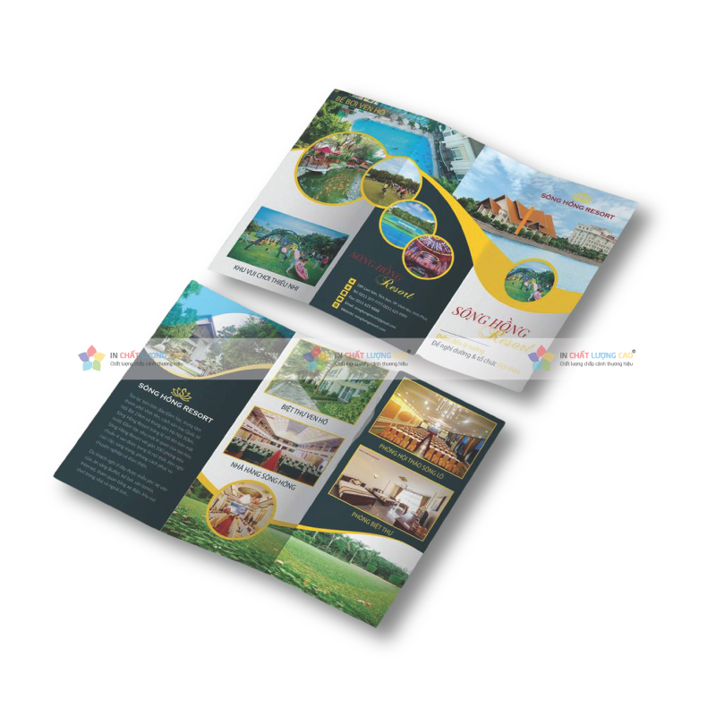 Bí Quyết In Tờ Gấp Thu Hút Khách Hàng Trong 2025