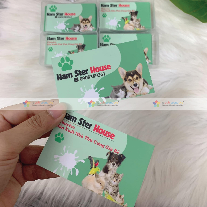 Dịch Vụ In Danh Thiếp Lấy Nhanh Uy Tín 2025